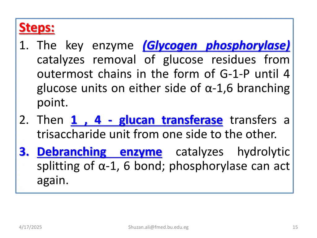 steps 1 the key enzyme glycogen phosphorylase