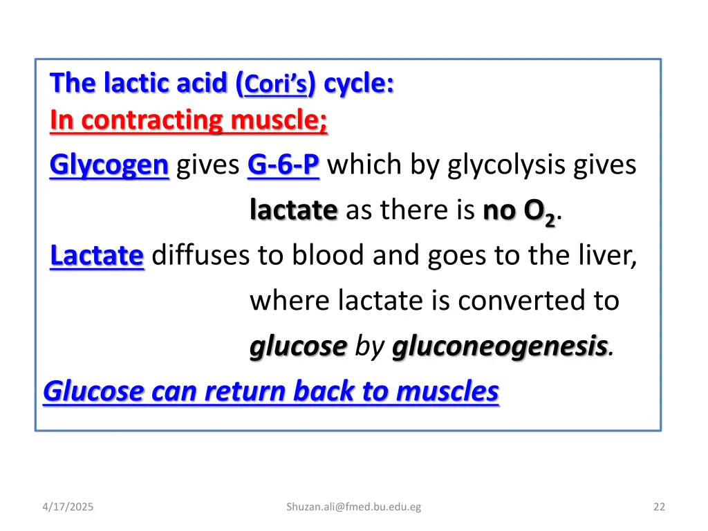 the lactic acid cori s cycle in contracting