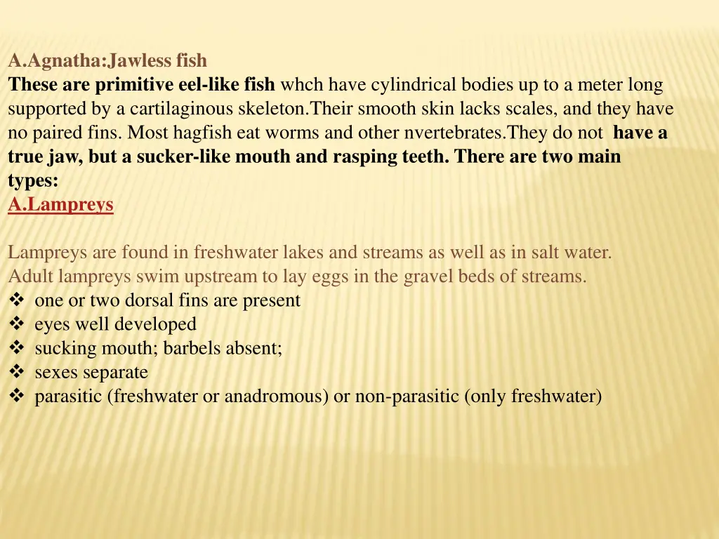 a agnatha jawless fish these are primitive