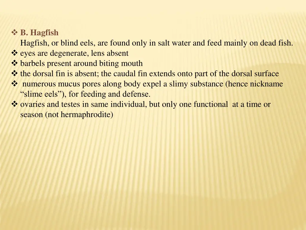 b hagfish hagfish or blind eels are found only