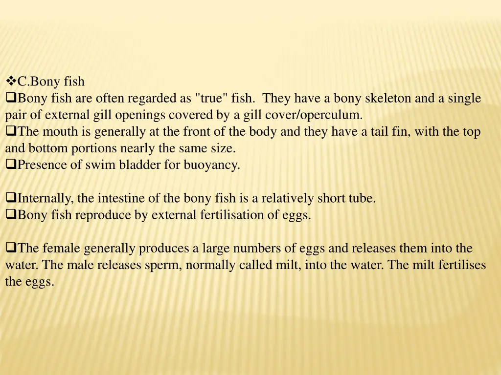c bony fish bony fish are often regarded as true