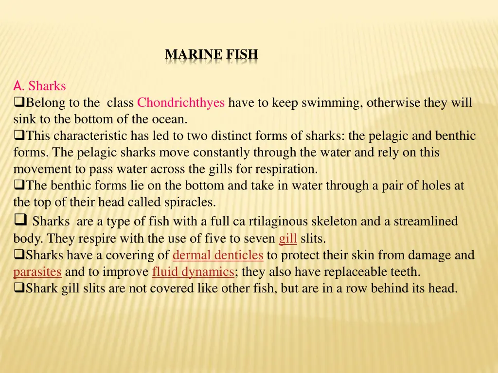 marine fish