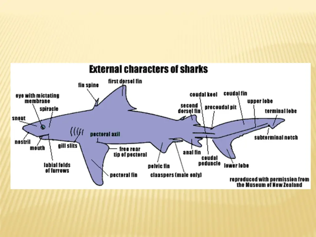 slide14