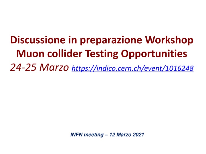discussione in preparazione workshop muon