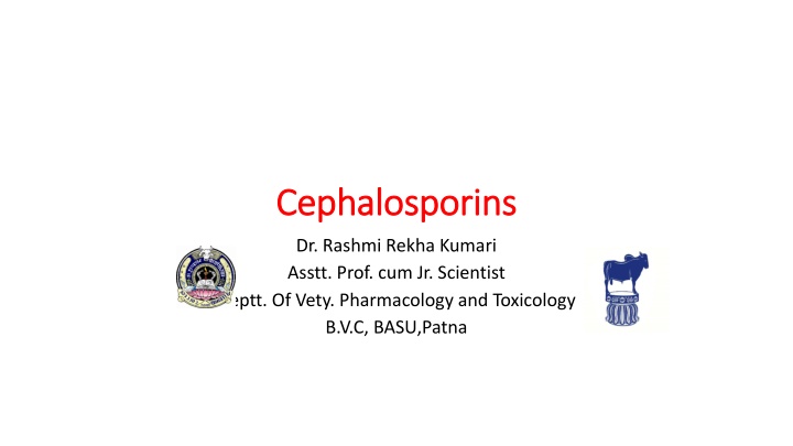 cephalosporins cephalosporins