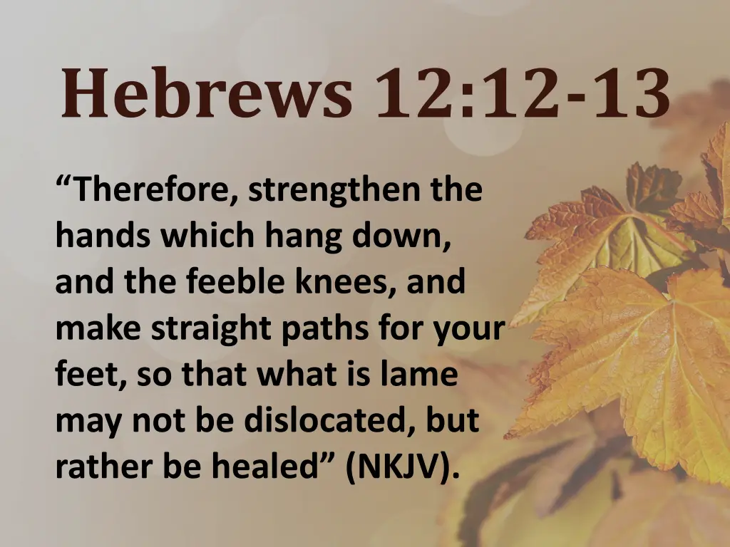 hebrews 12 12 13