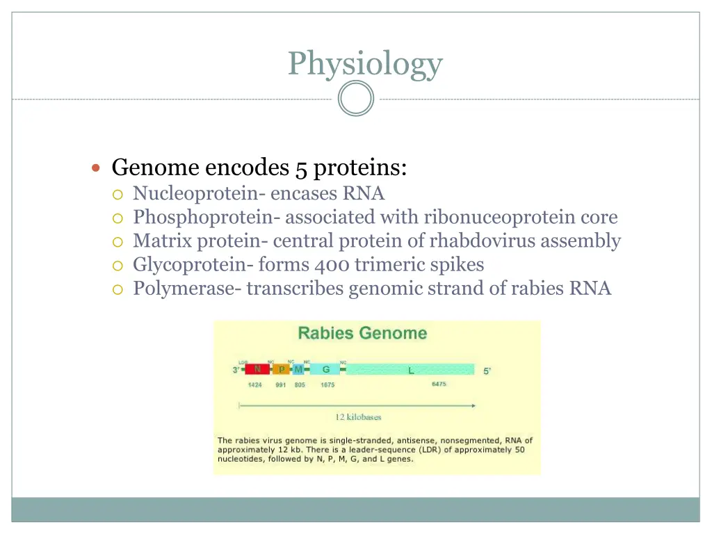 physiology