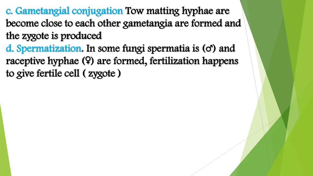 c c gametangial gametangial conjugation become