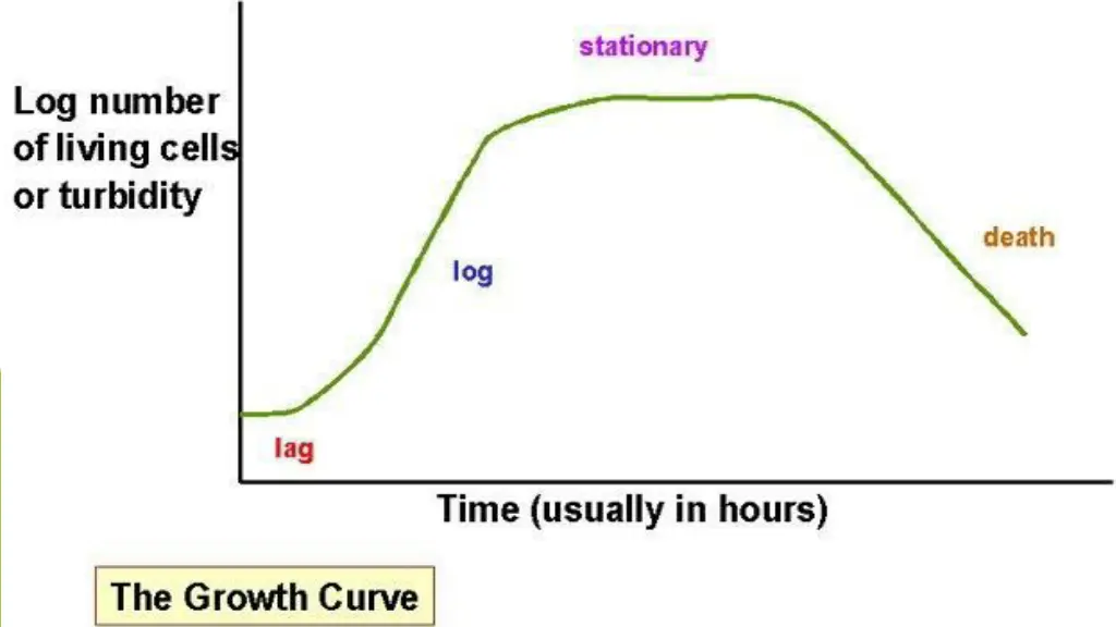 slide12