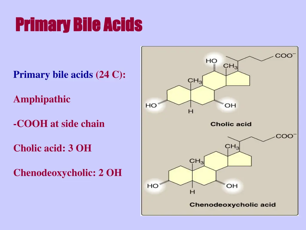 primary bile acids primary bile acids