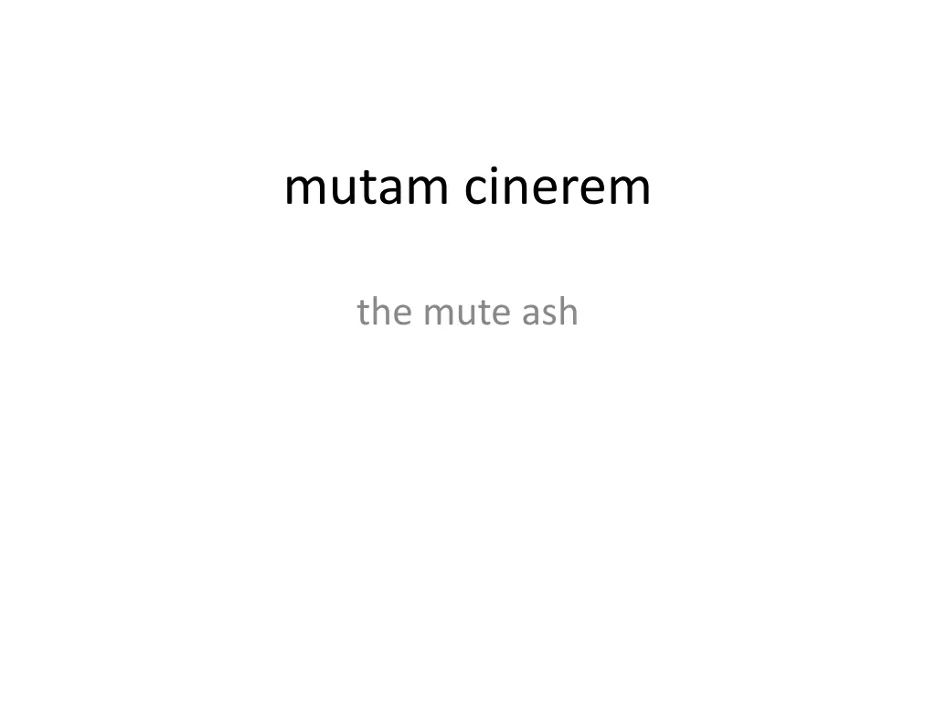 mutam cinerem