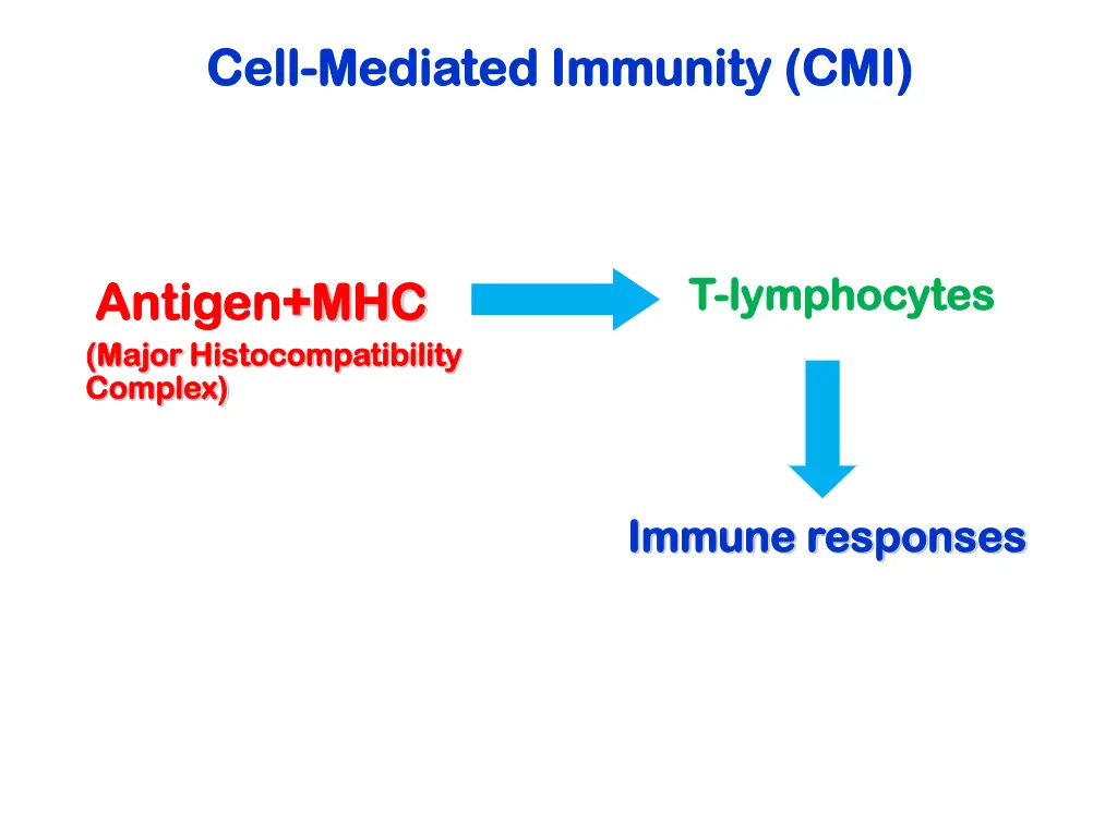 cell cell mediated immunity cmi mediated immunity