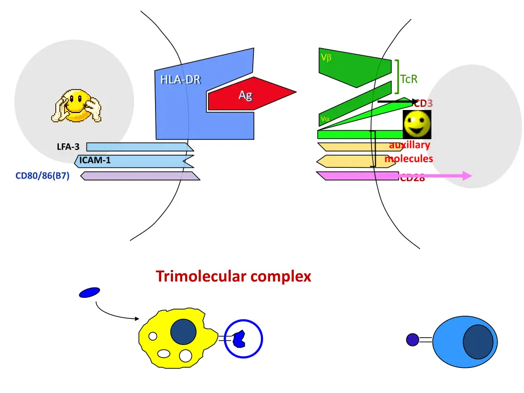 slide22