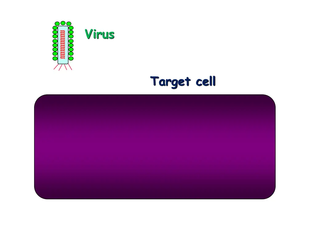 virus