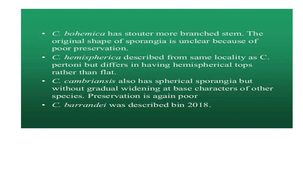 slide11