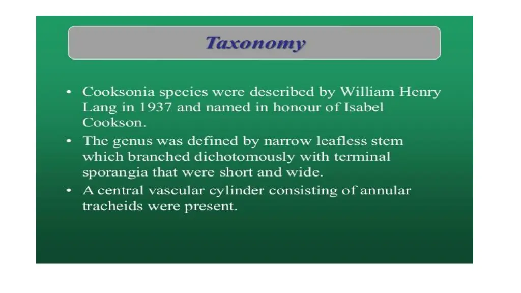 slide5
