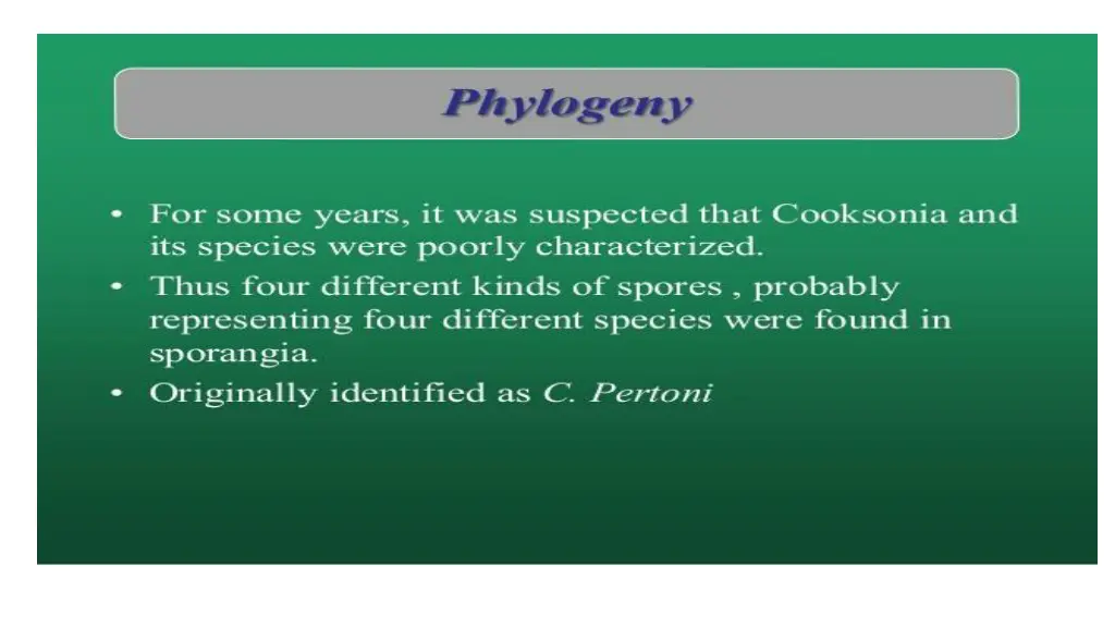slide7