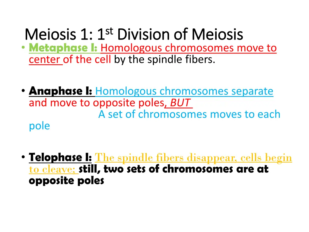 meiosis 1 1 meiosis 1 1 st st division of meiosis 1
