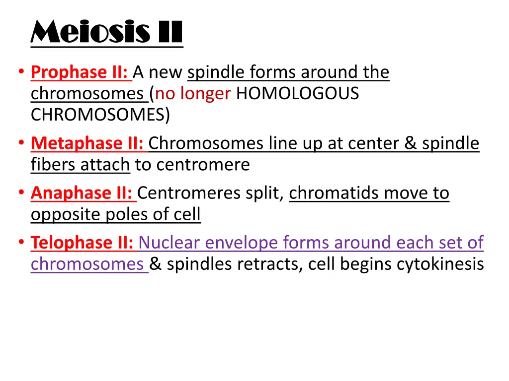 meiosis ii meiosis ii