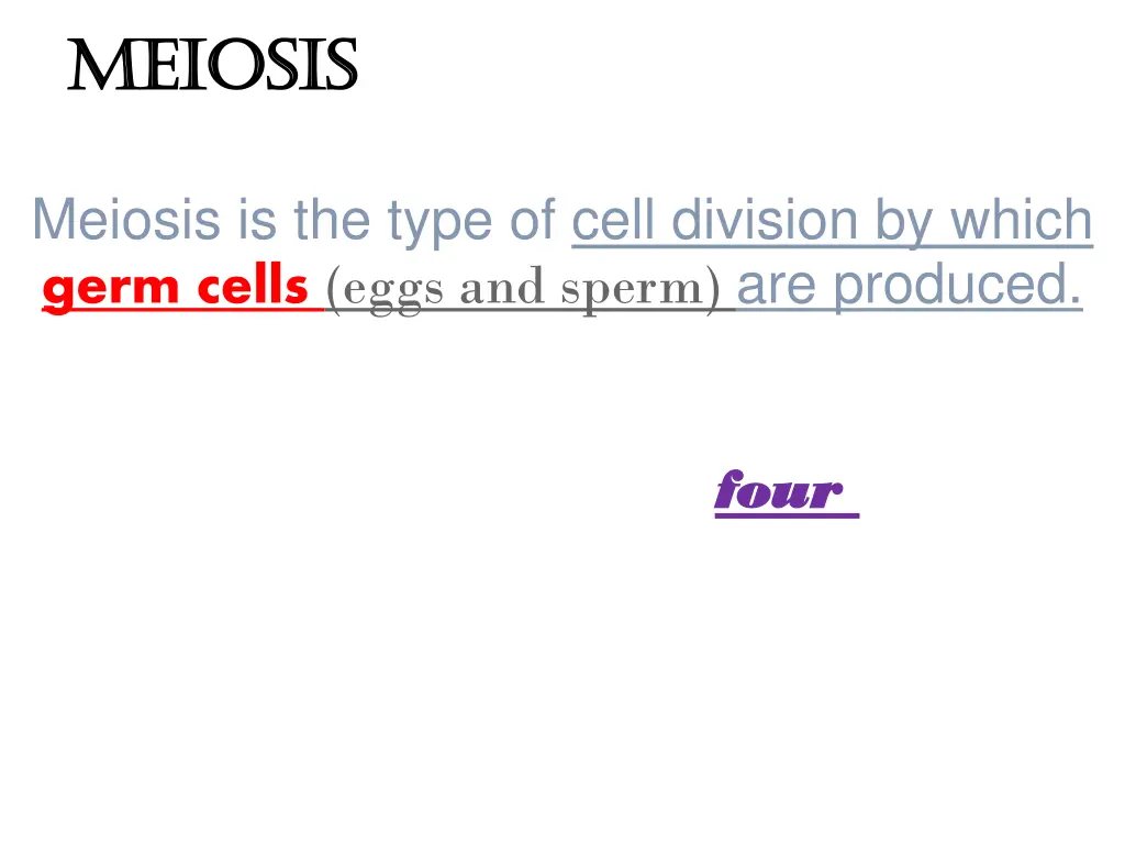 meiosis meiosis