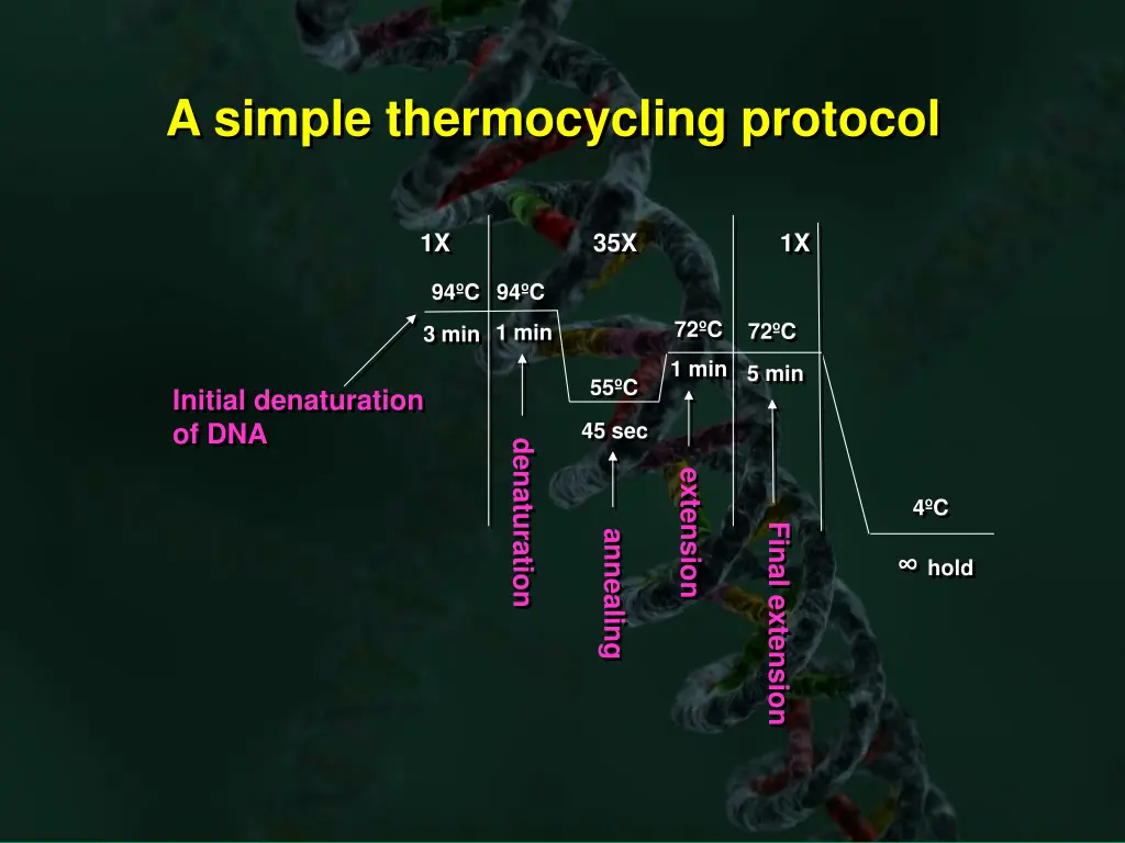 a simple thermocycling protocol