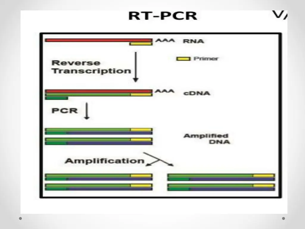 slide10