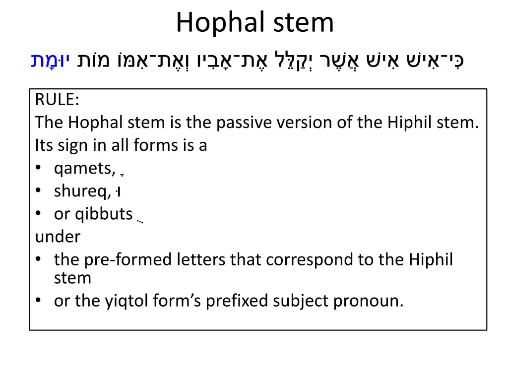 hophal stem 2
