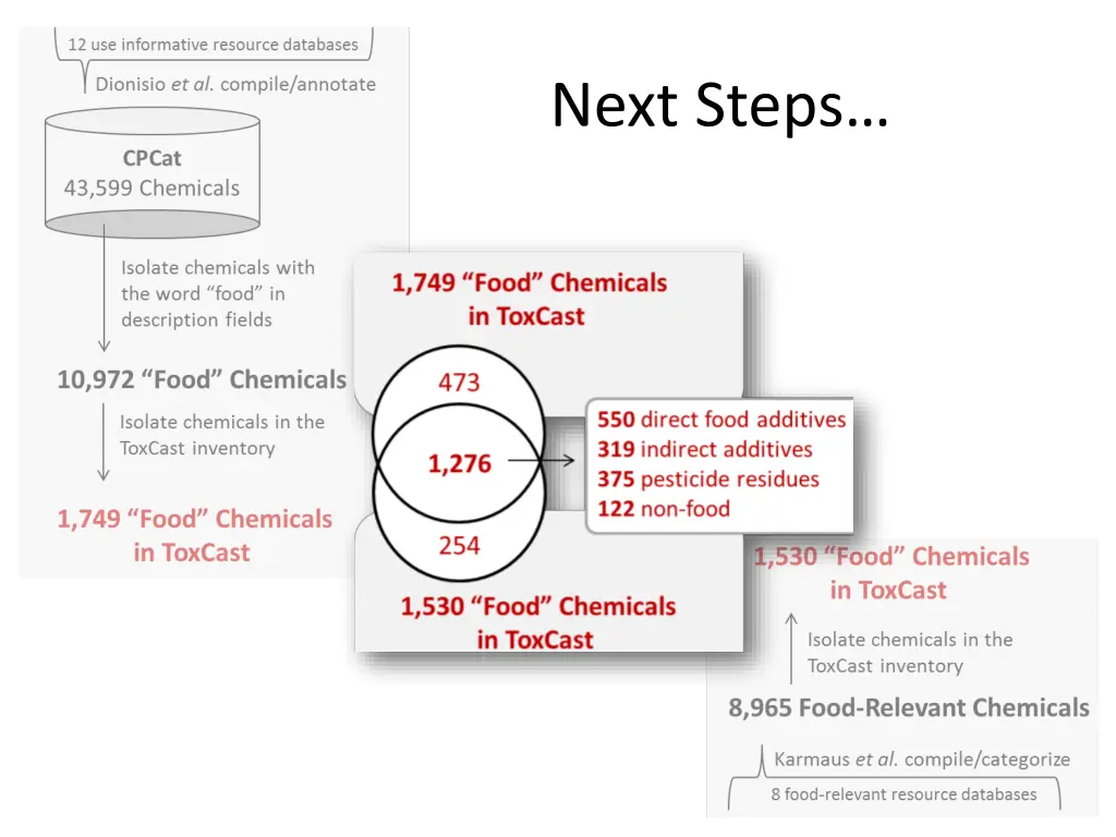 next steps 1