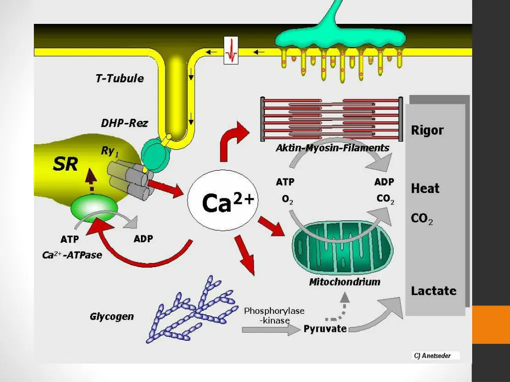 slide13