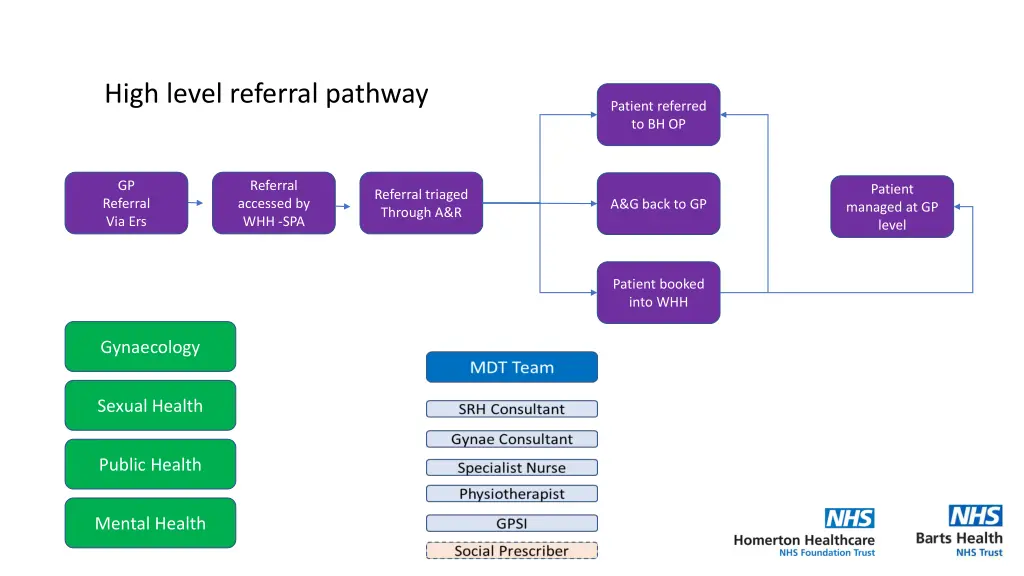 high level referral pathway
