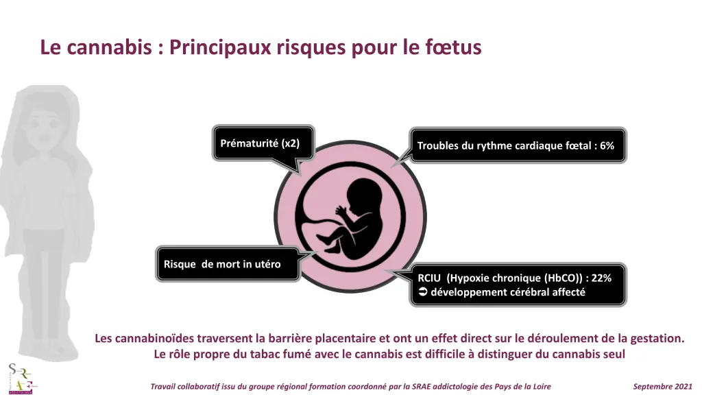 le cannabis principaux risques pour le f tus