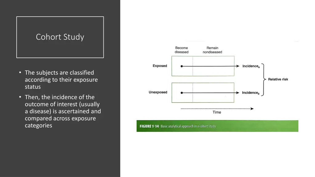 cohort study 4