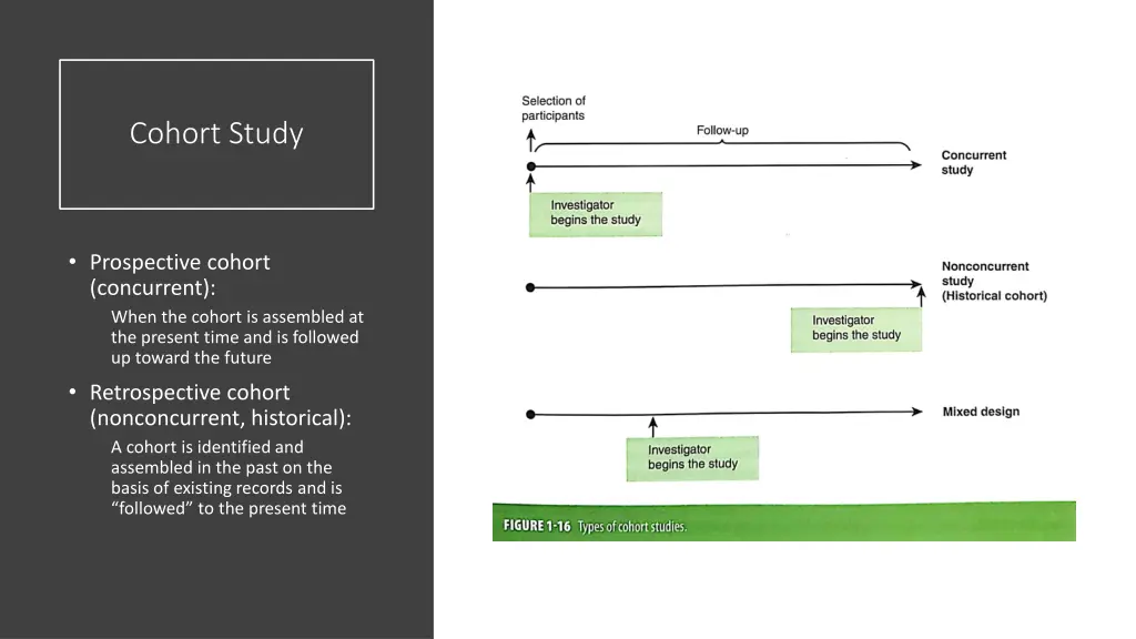 cohort study 6