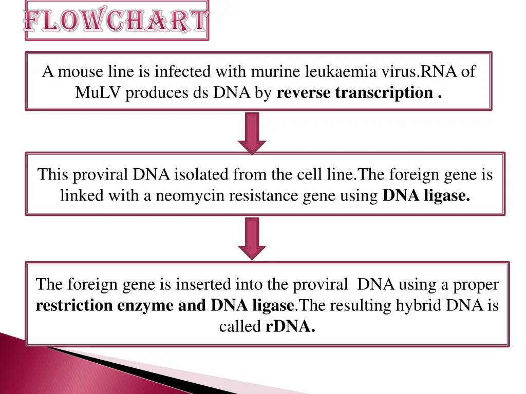 flowchart flowchart