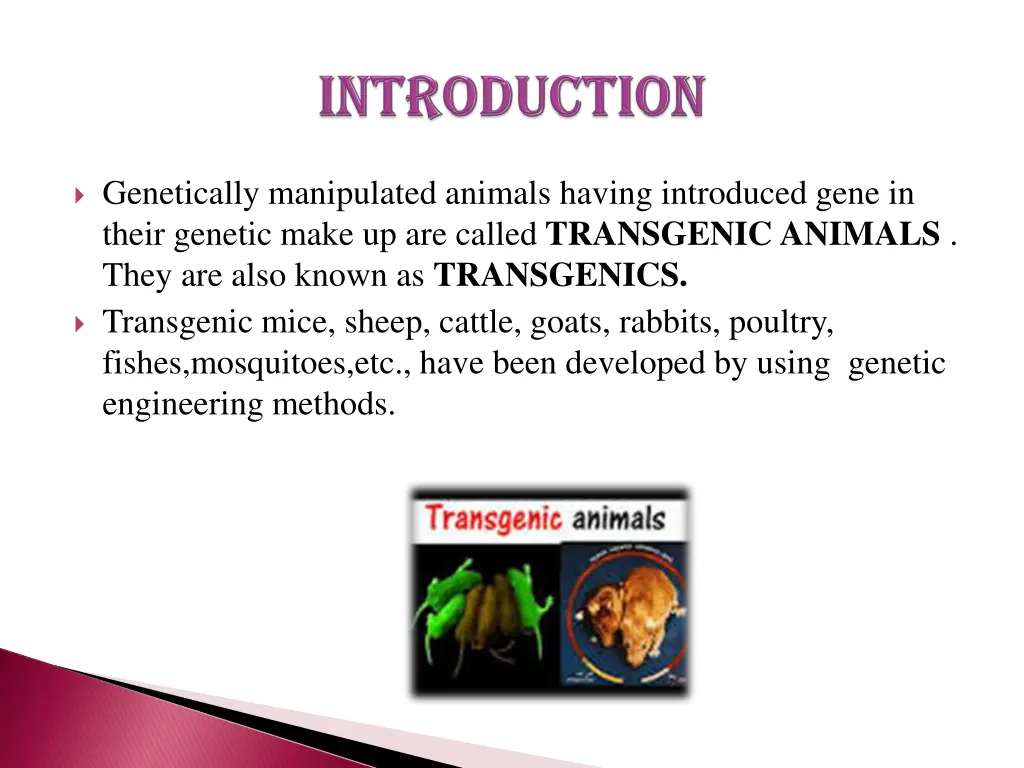 genetically manipulated animals having introduced