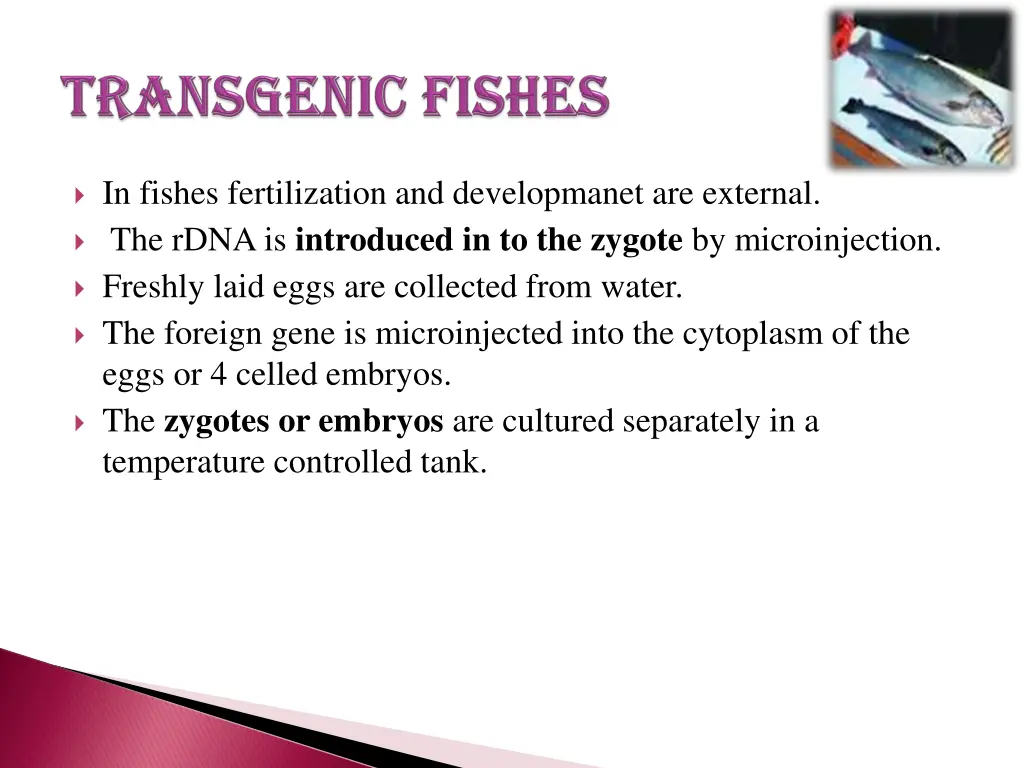 in fishes fertilization and developmanet