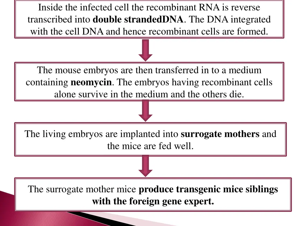 inside the infected cell the recombinant