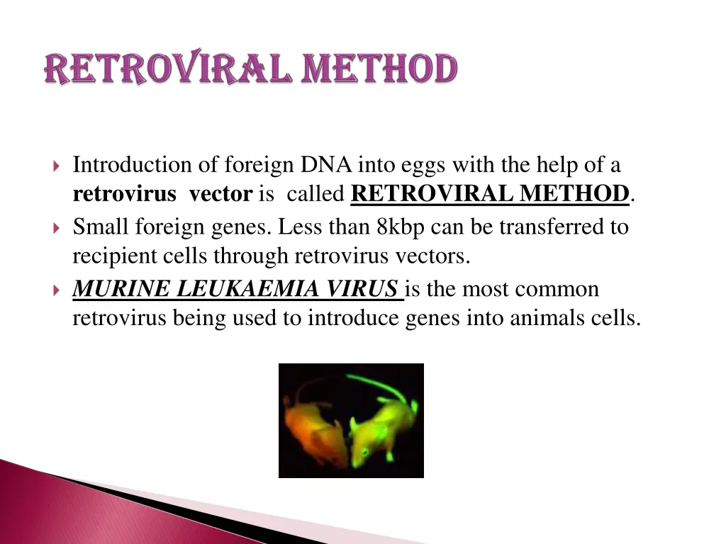 introduction of foreign dna into eggs with