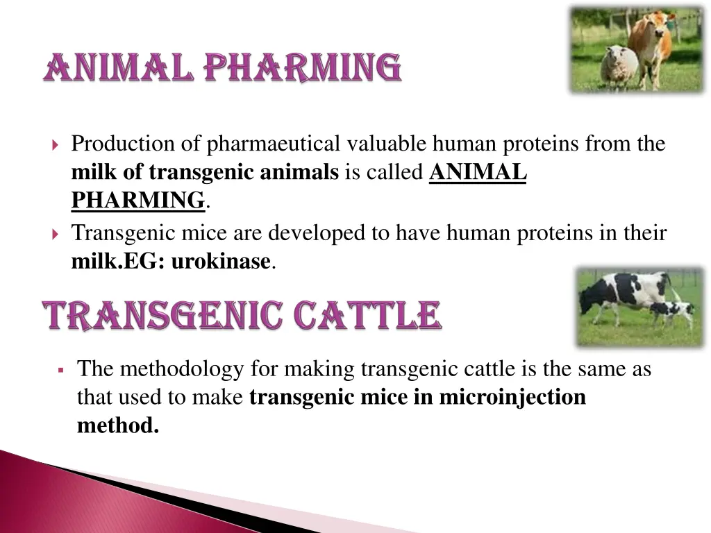 production of pharmaeutical valuable human