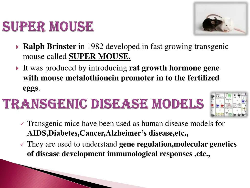 ralph brinster in 1982 developed in fast growing