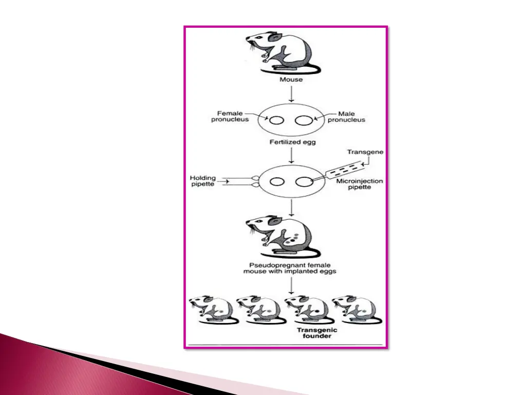 slide14