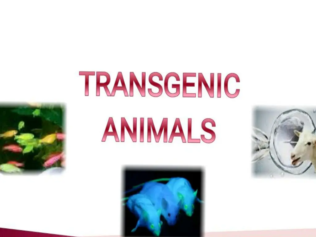 slide2