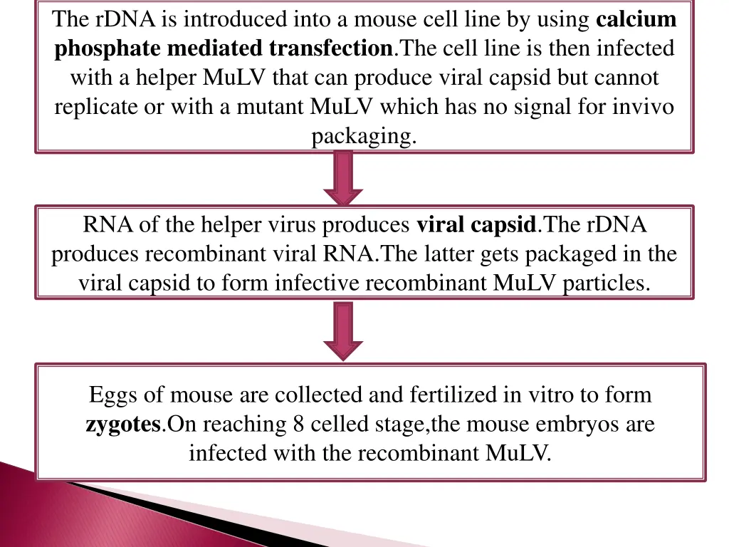 the rdna is introduced into a mouse cell line