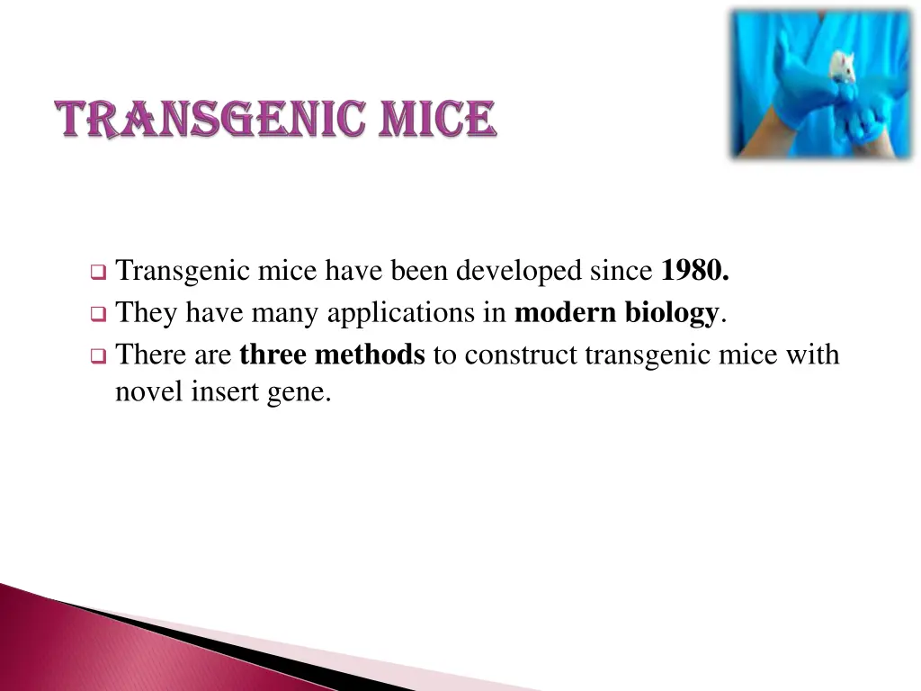 transgenic mice have been developed since 1980