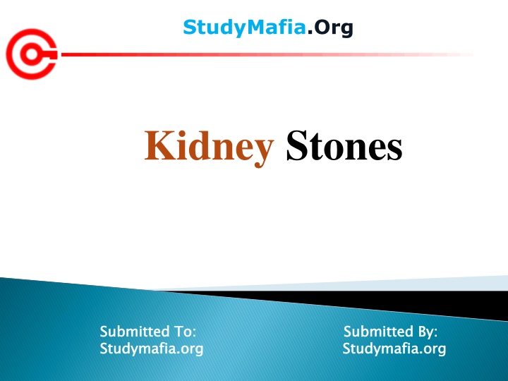 studymafia org