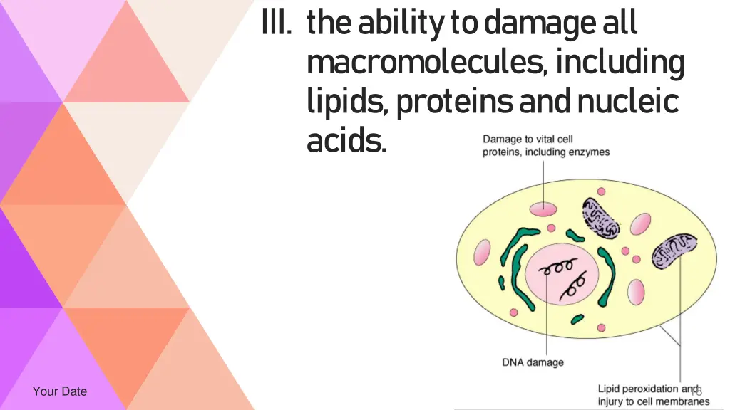 iii the ability to damage all macromolecules