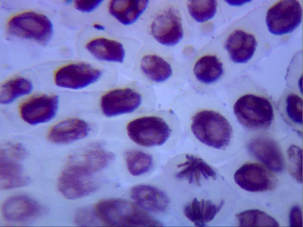 slide8