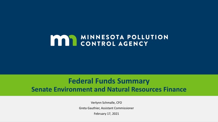 federal funds summary senate environment