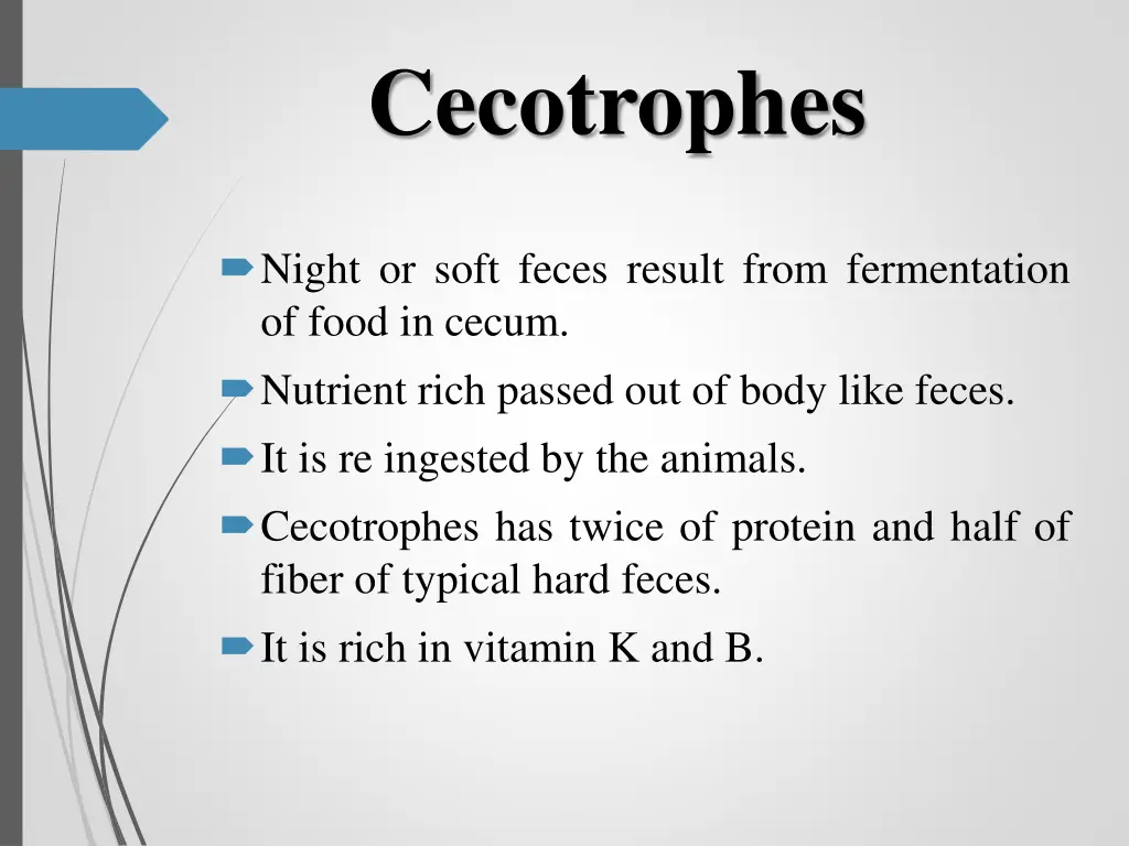 cecotrophes