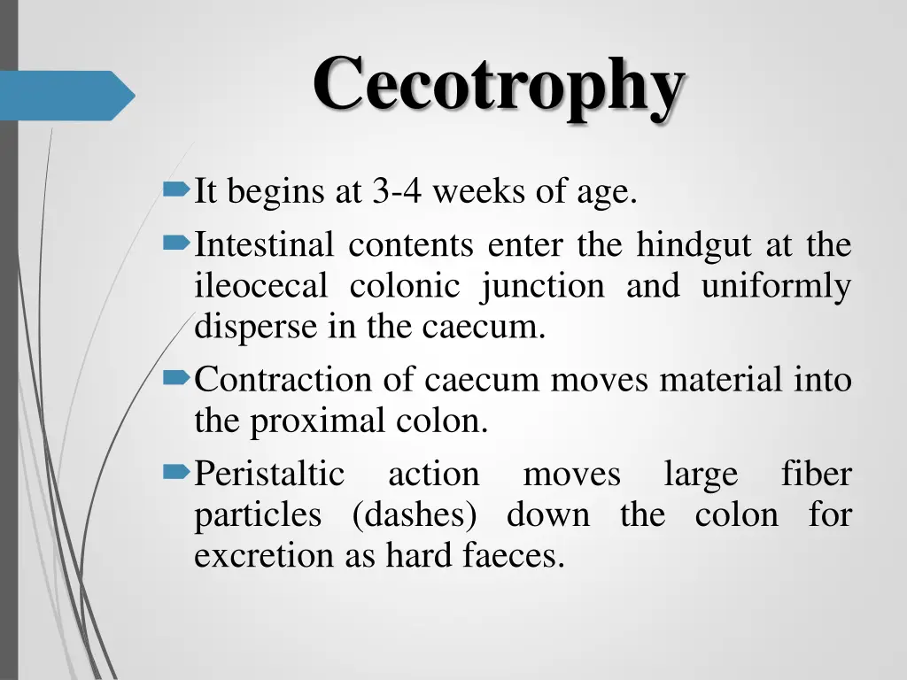 cecotrophy